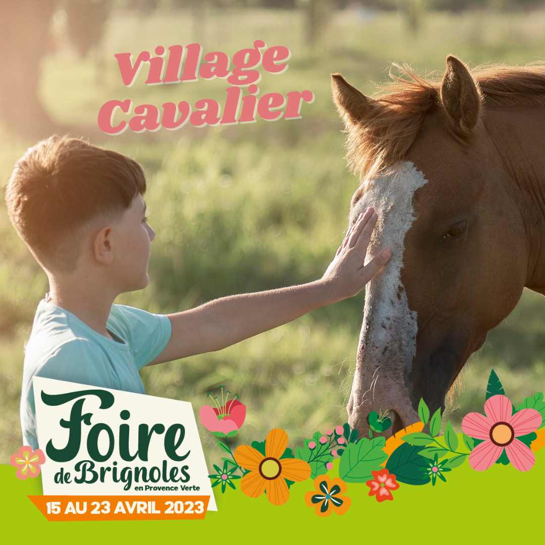 village cavalier